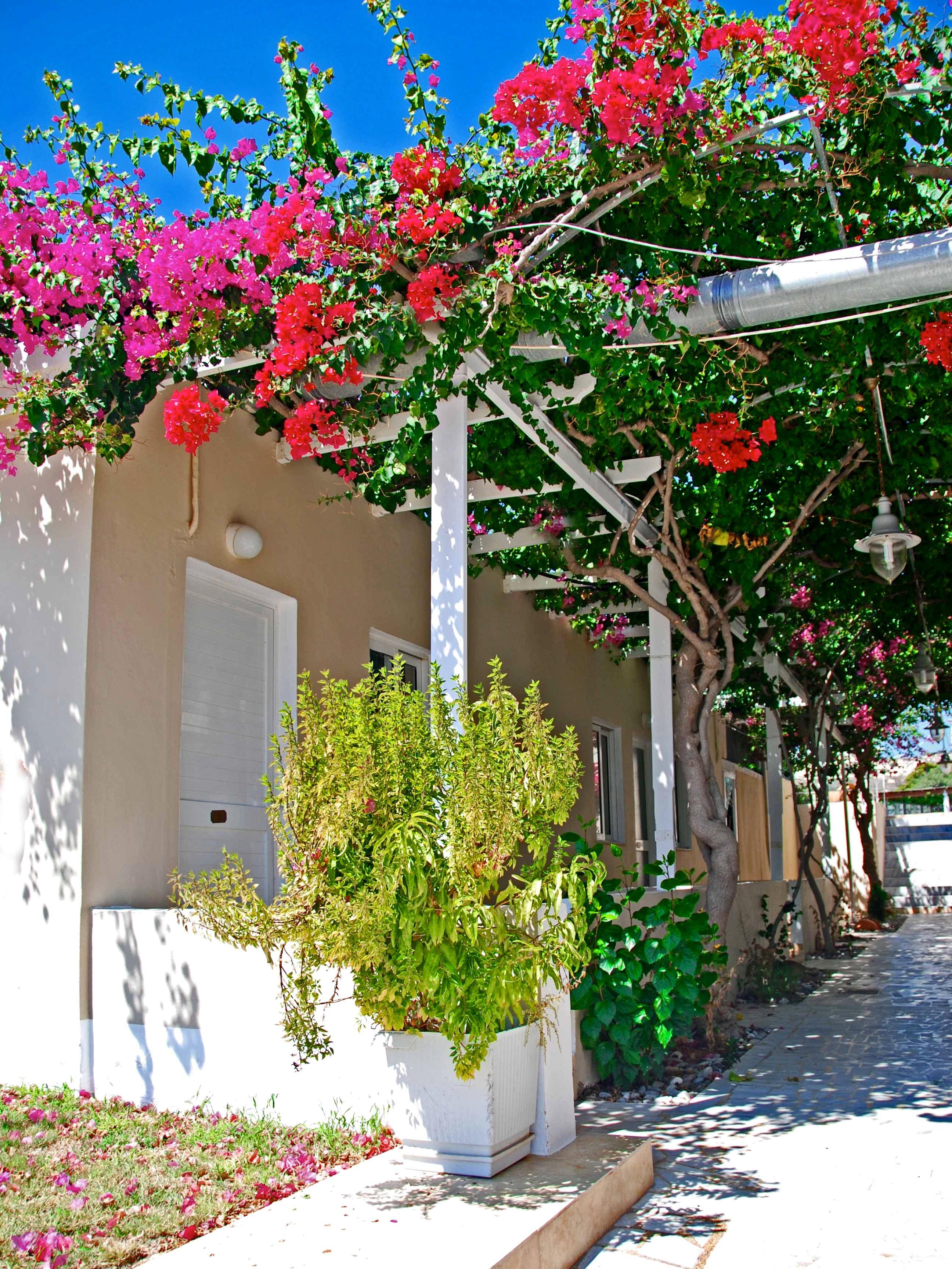 Sacallis Inn Beach Hotel Kéfalos المظهر الخارجي الصورة